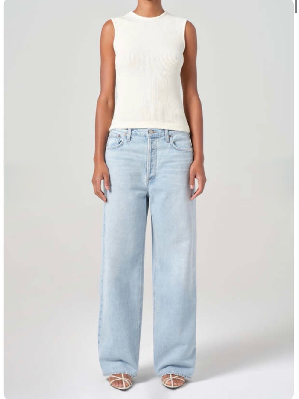 AGOLDE Low Slung Baggy Petite in Spark